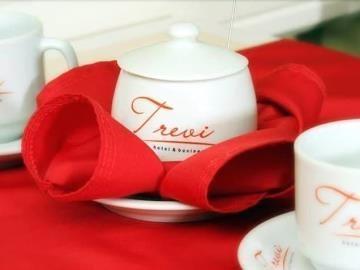 Hotel Trevi Hotel E Business